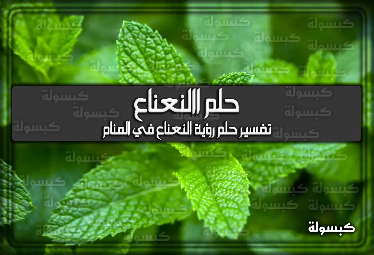 تفسير حلم رؤية النعناع في المنام