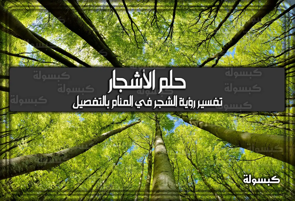 تفسير رؤية حلم الأشجار في المنام