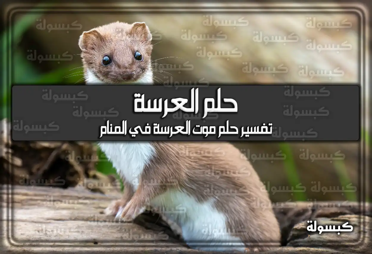 تفسير رؤية حلم العرسة في المنام