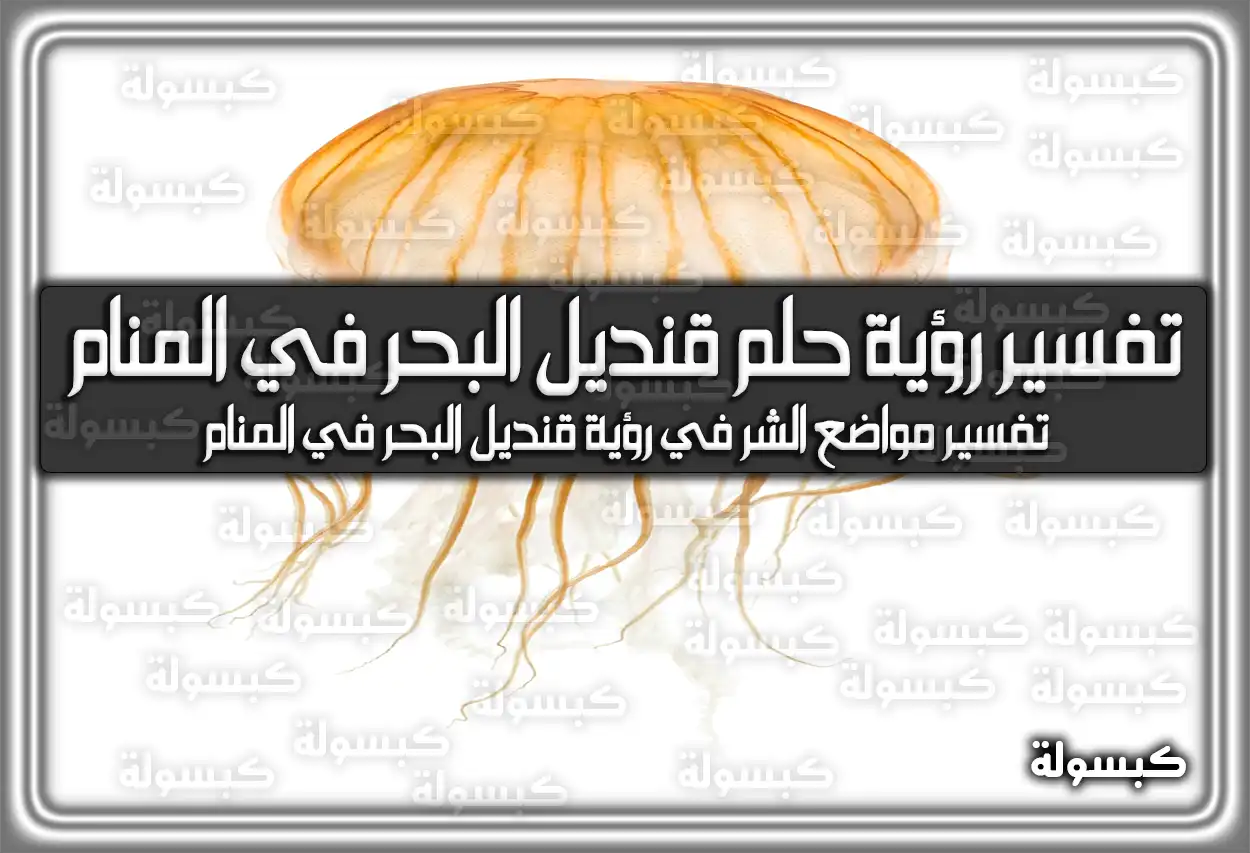 تفسير رؤية حلم قنديل البحر في المنام