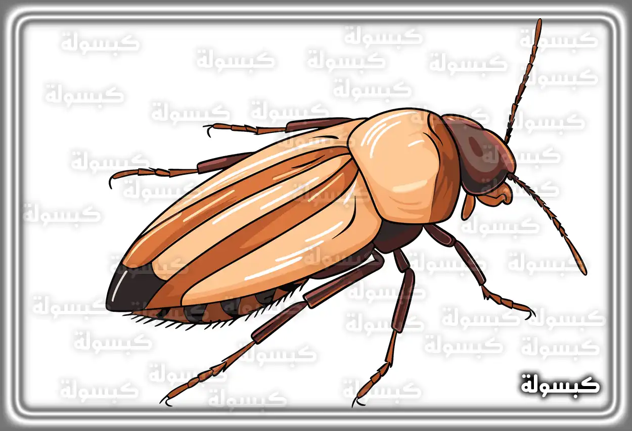 رموز قتل الصراصير أو هروبها في الحلم