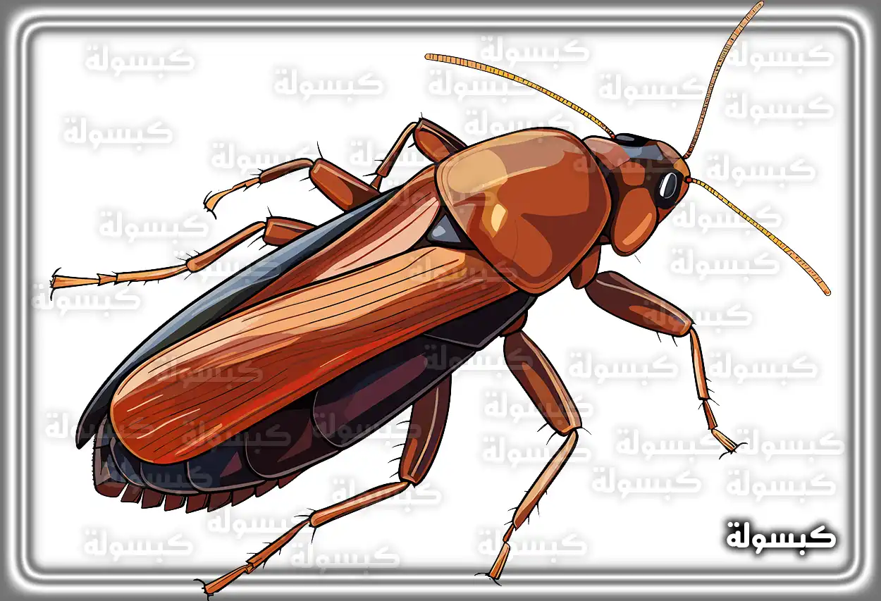 تحليل رمزي لرؤية الصراصير في الأحلام