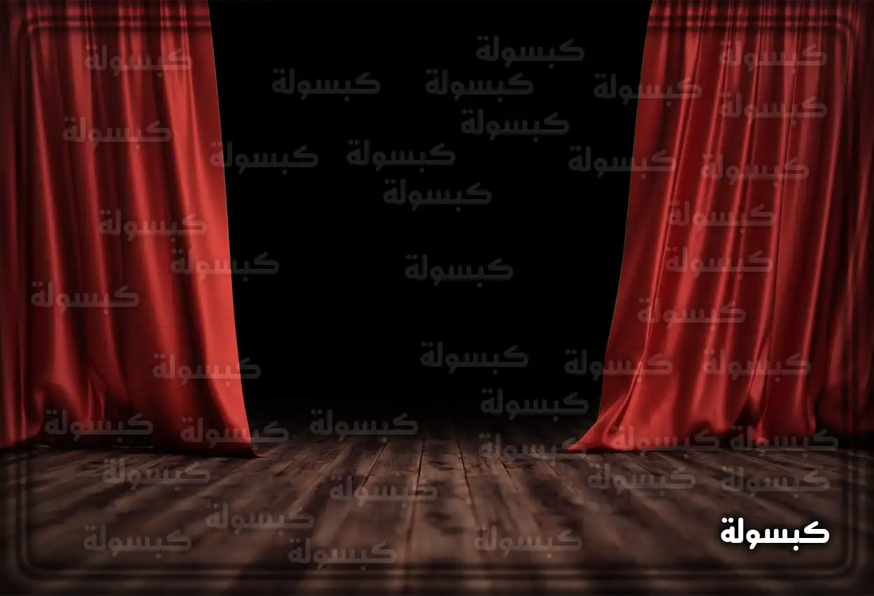 جمهور يجلس في مقاعد مسرح كلاسيكي