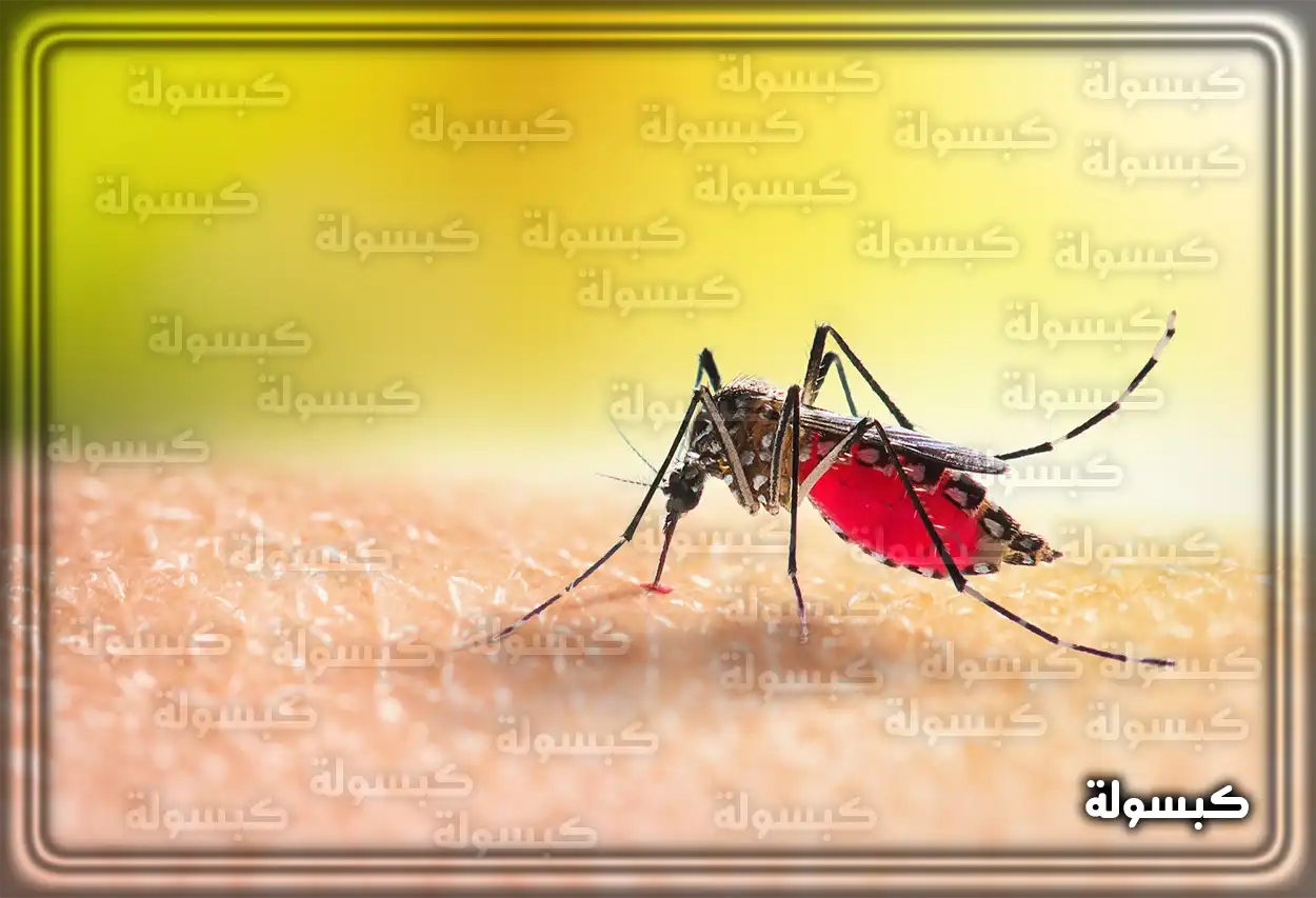 تفسير رؤية حلم البعوض في المنام