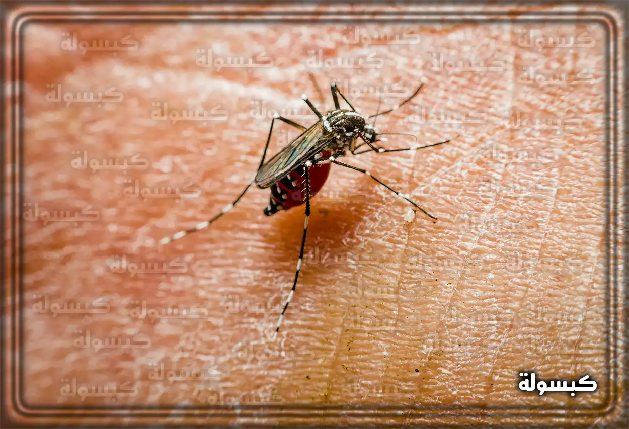 تفسير رؤية حلم البعوض في المنام