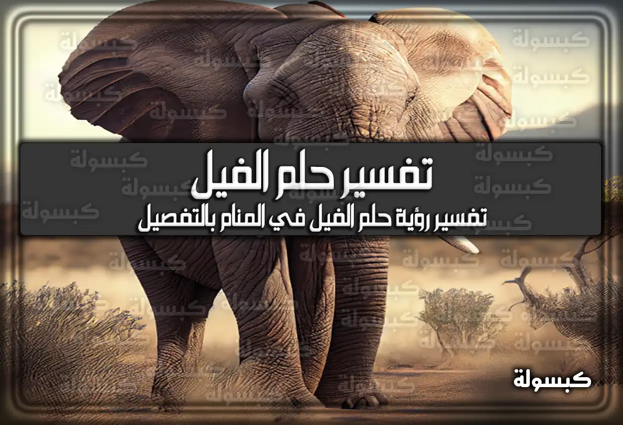 تفسير رؤية حلم الفيل في المنام