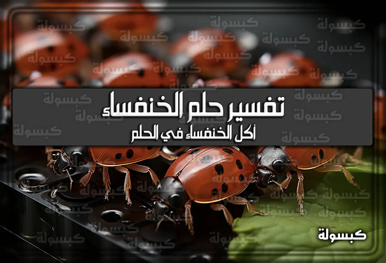 تفسير رؤية حلم الخنفساء في المنام