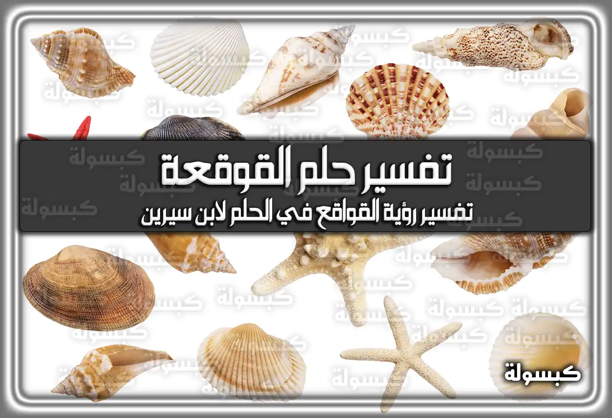 تفسير رؤية حلم القوقعة في المنام