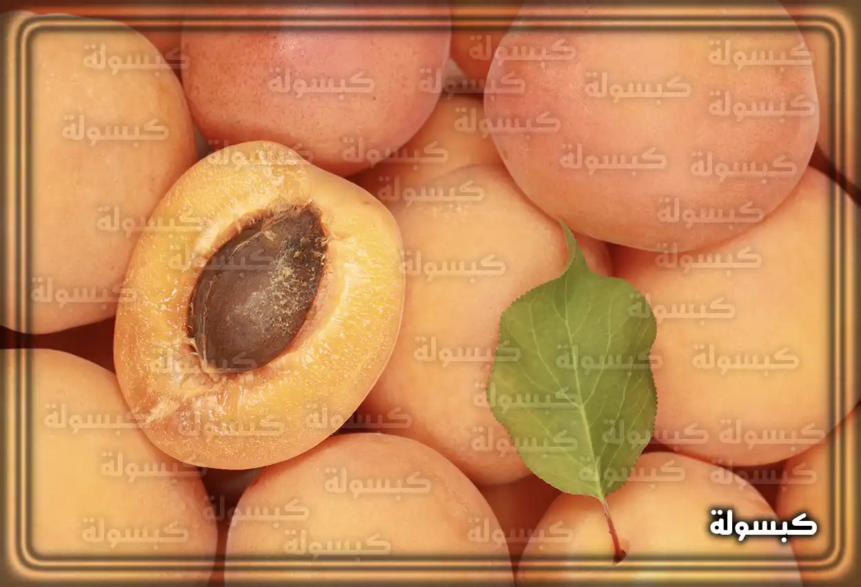 تفسير حلم رؤية المشمش في المنام ودلالاته الرمزية