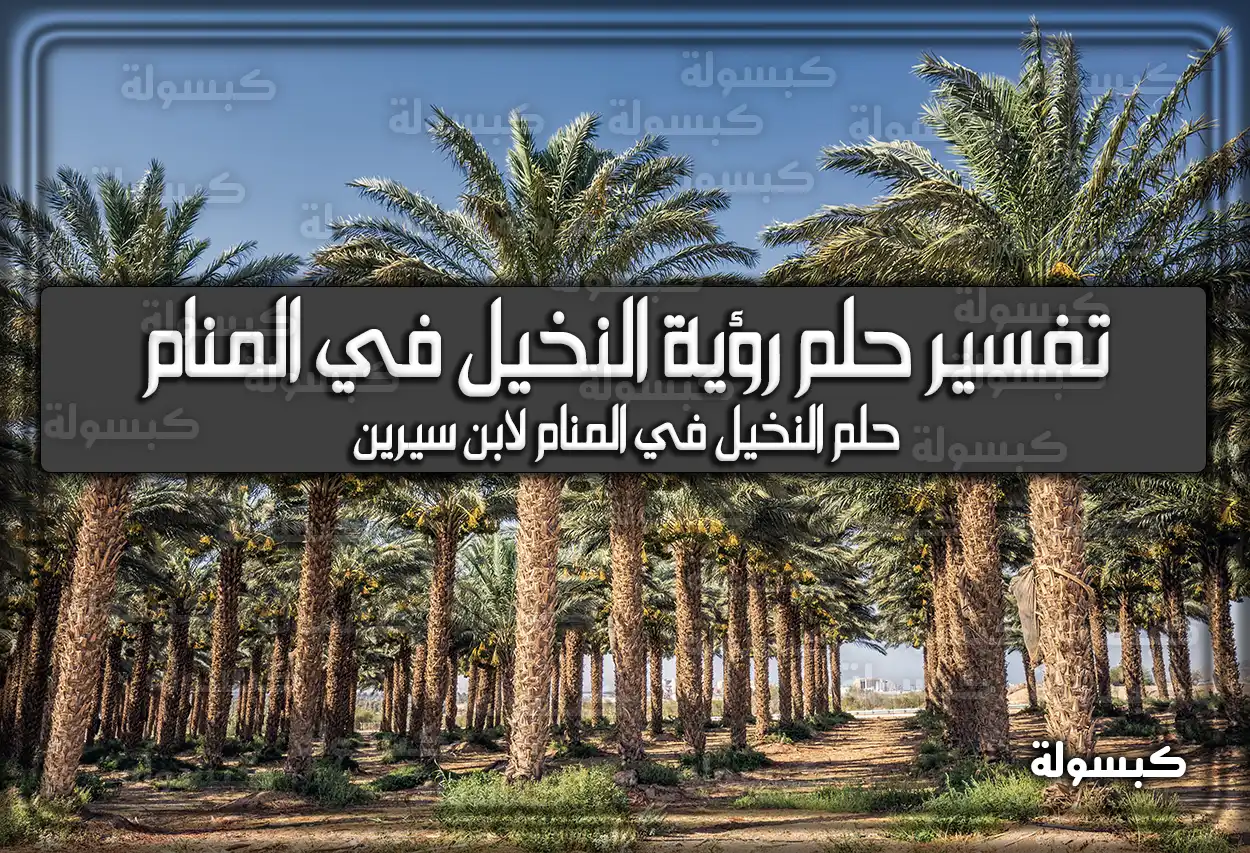 تفسير حلم رؤية النخيل في المنام