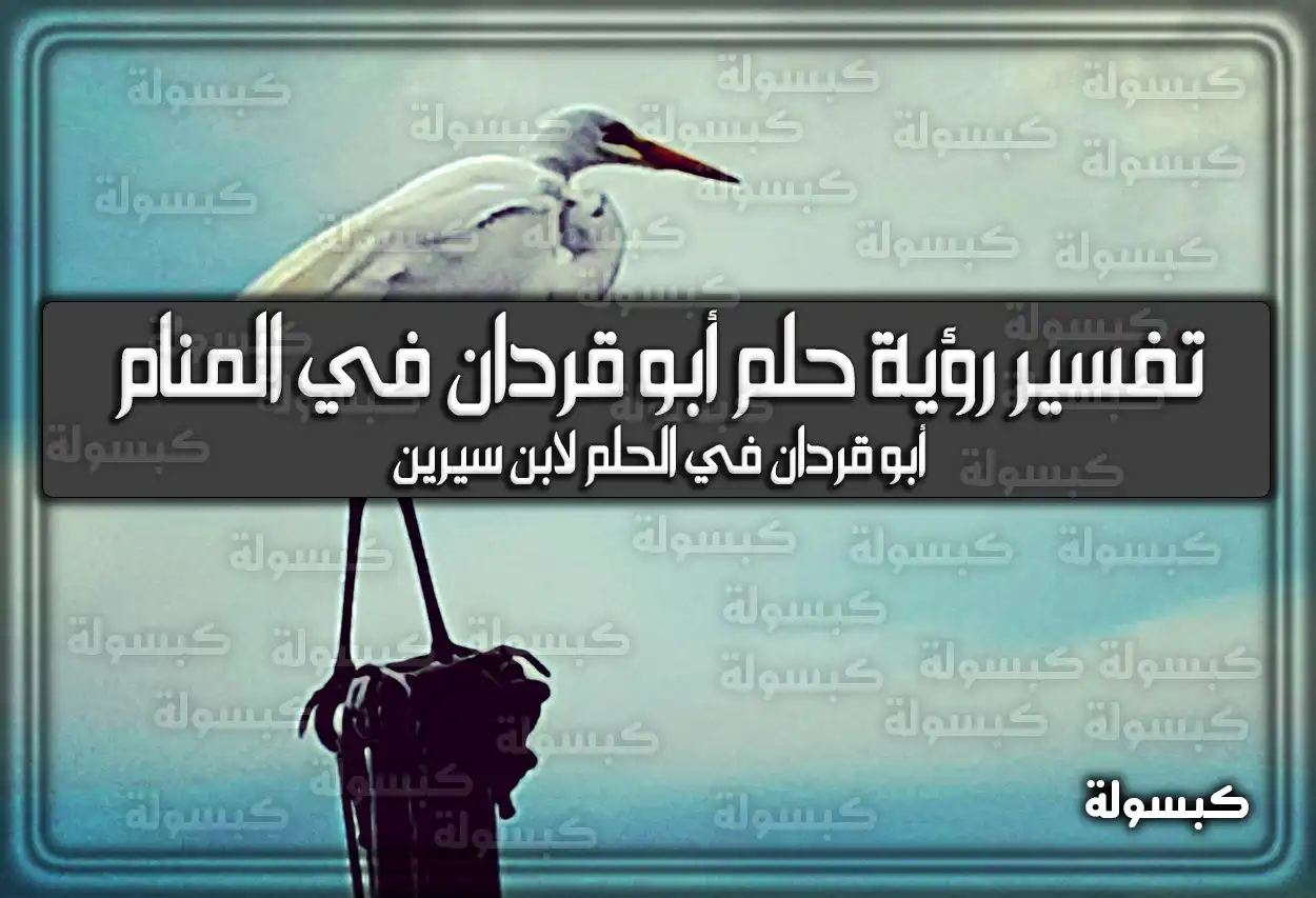 تفسير رؤية حلم أبو قردان في المنام