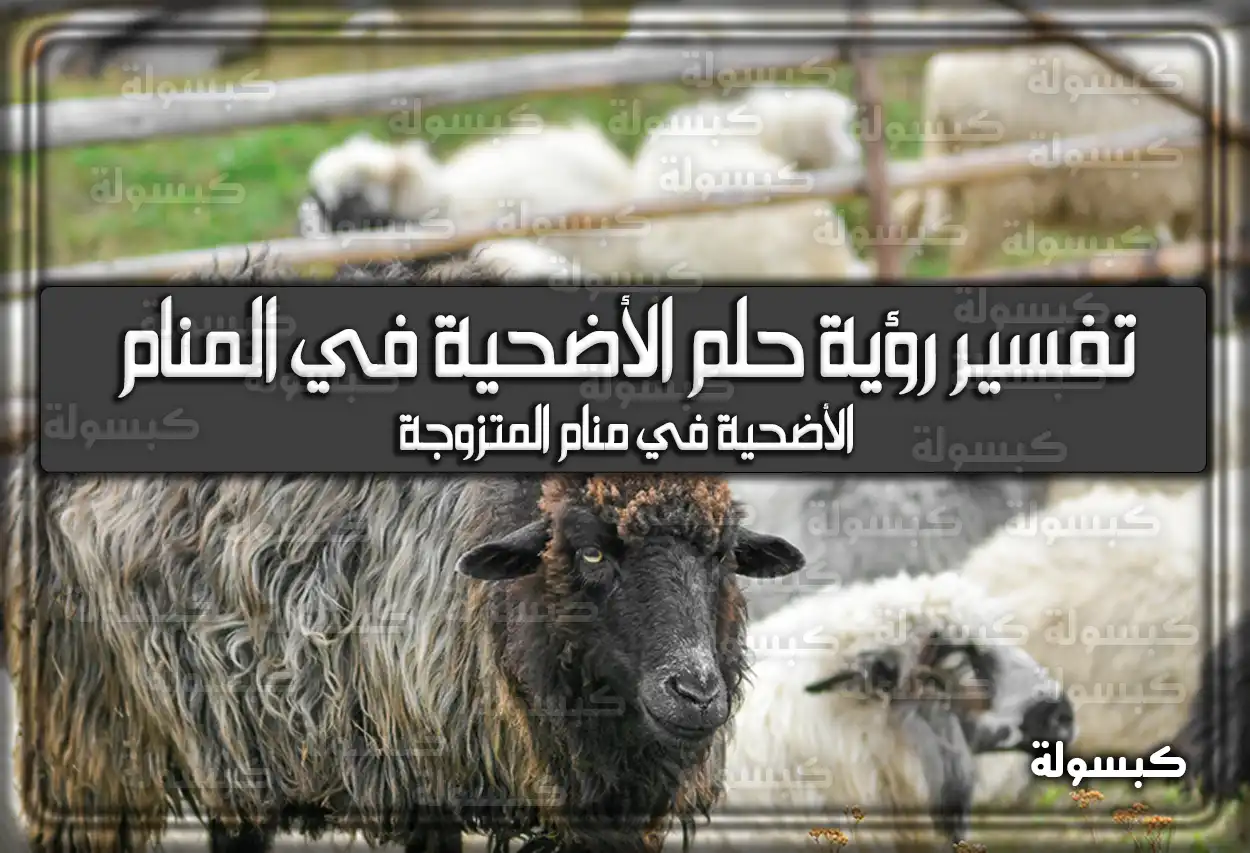 تفسير رؤية حلم الأضحية في المنام