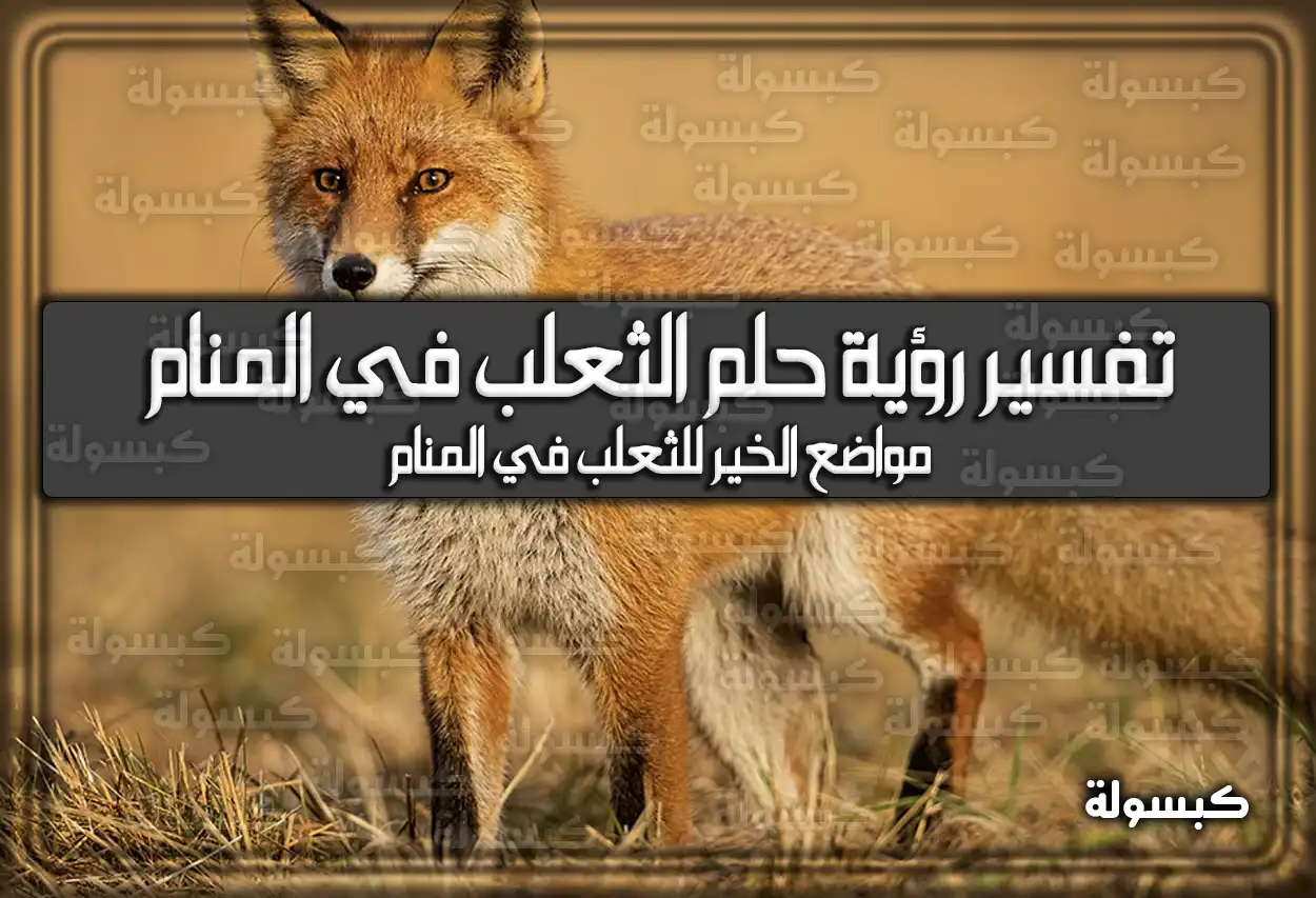 تفسير رؤية حلم الثعلب في المنام