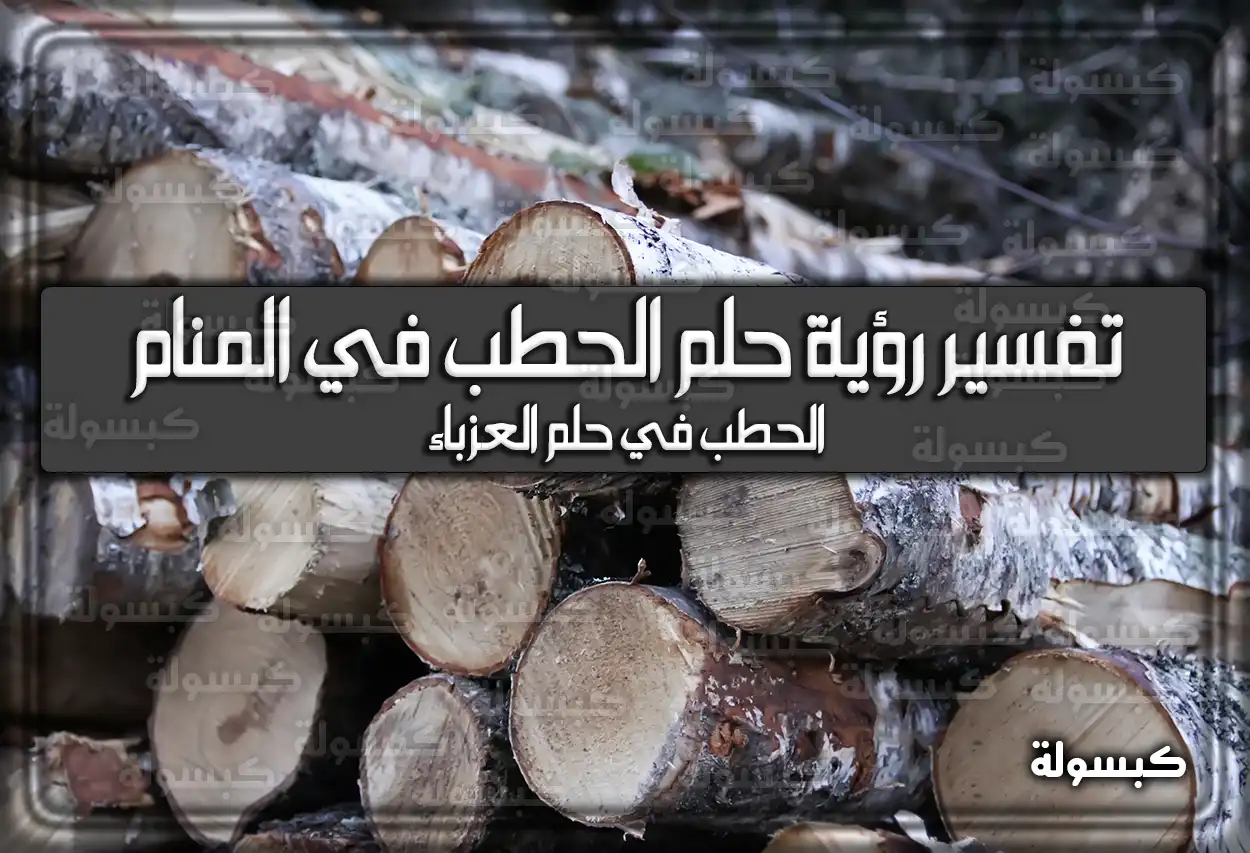 تفسير رؤية حلم الحطب في المنام