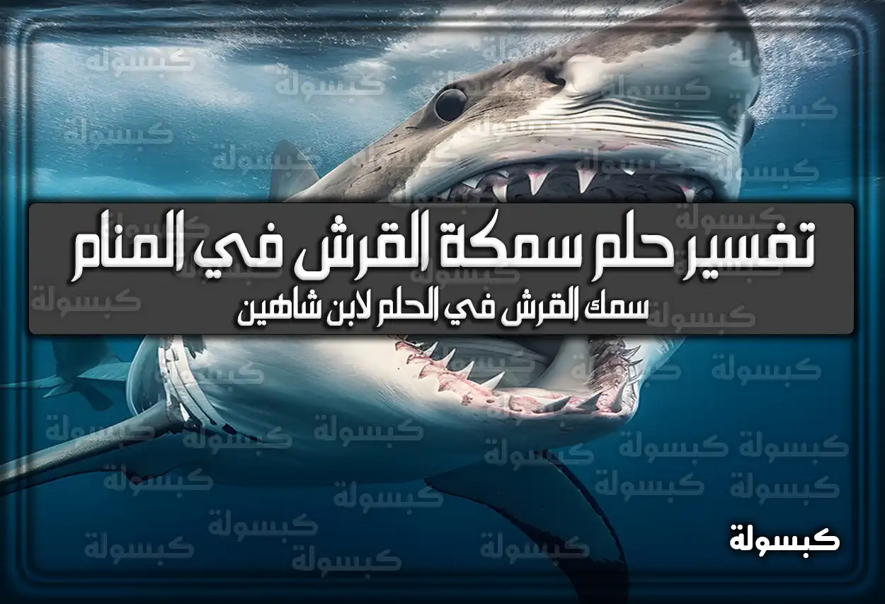 تفسير رؤية حلم سمكة القرش في المنام