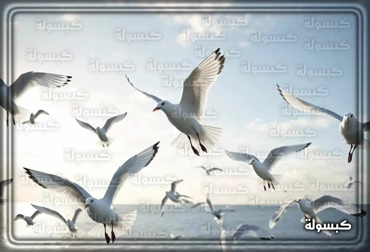 تفسير رؤية حلم طائر النورس في المنام مجموعة من طيور النورس على شاطئ البحر