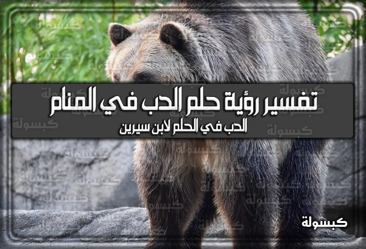 تفسير رؤية حلم الدب في المنام