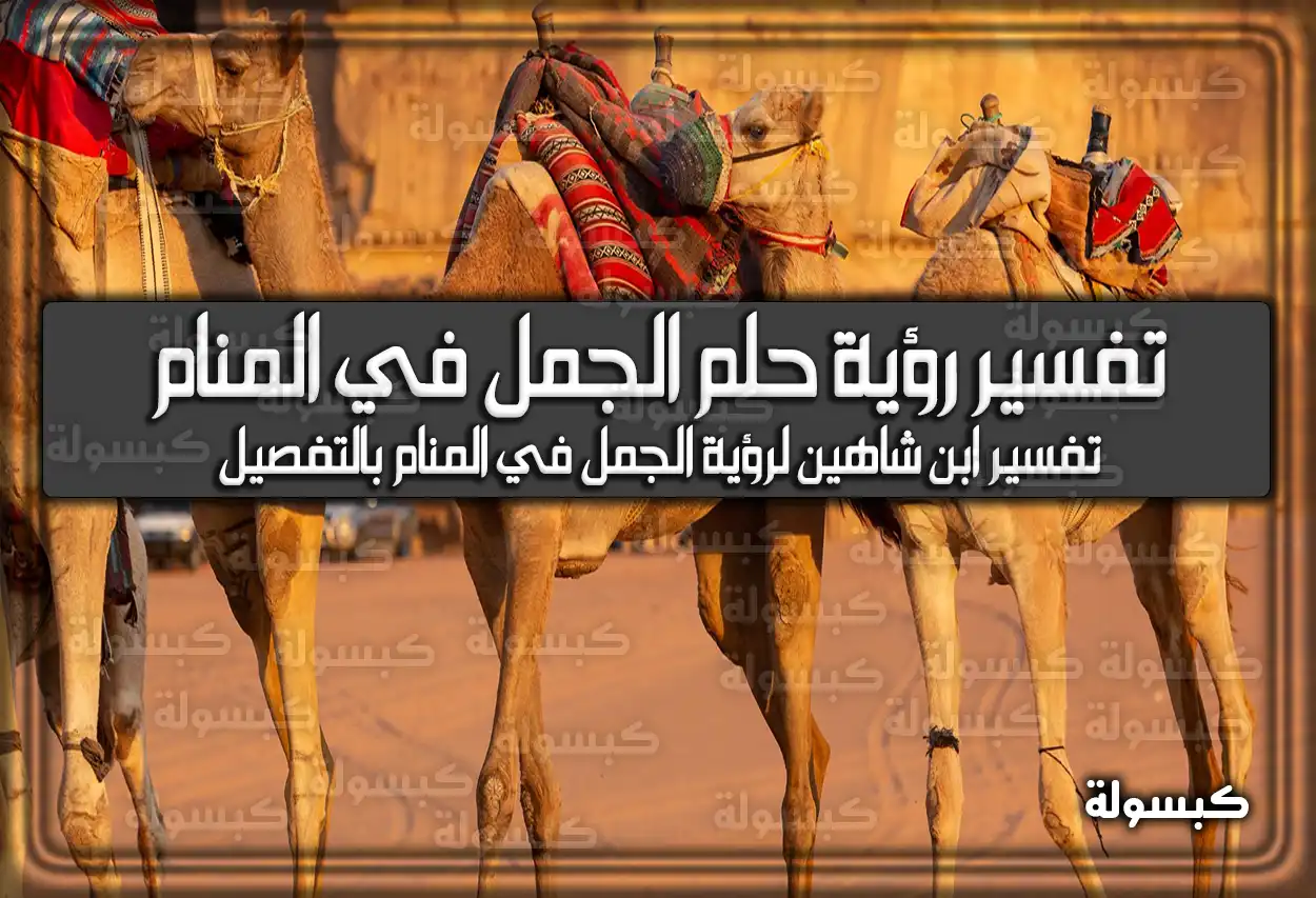 تفسير رؤية حلم الجمل في المنام