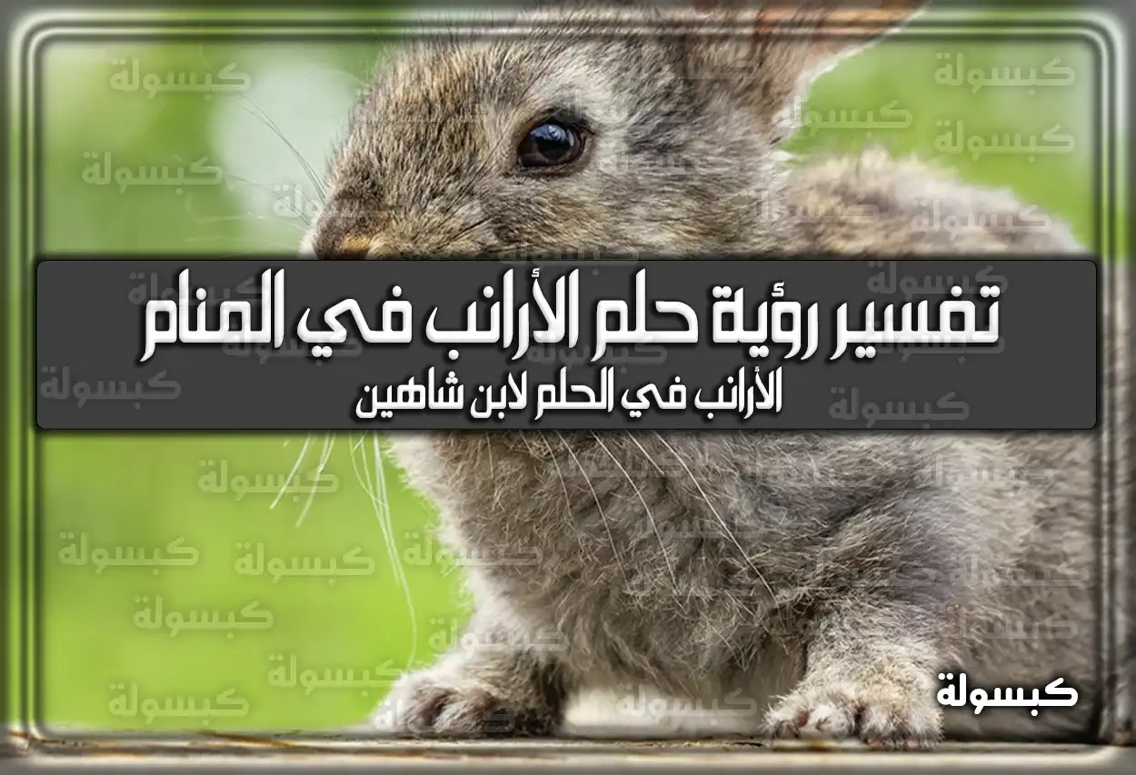 تفسير رؤية حلم الأرانب في المنام