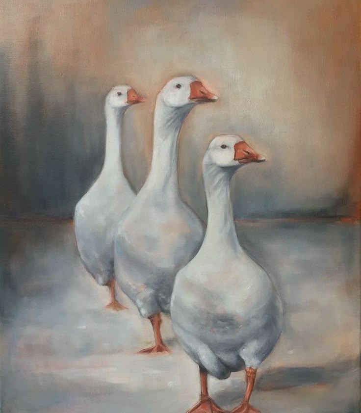 تفسير رؤية الأوز في المنام