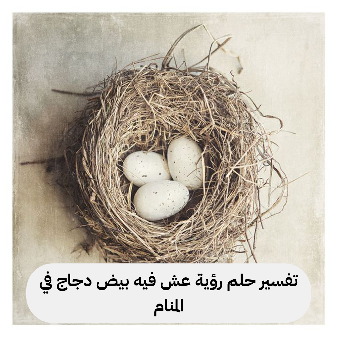 تفسير حلم رؤية عش فيه بيض دجاج في المنام