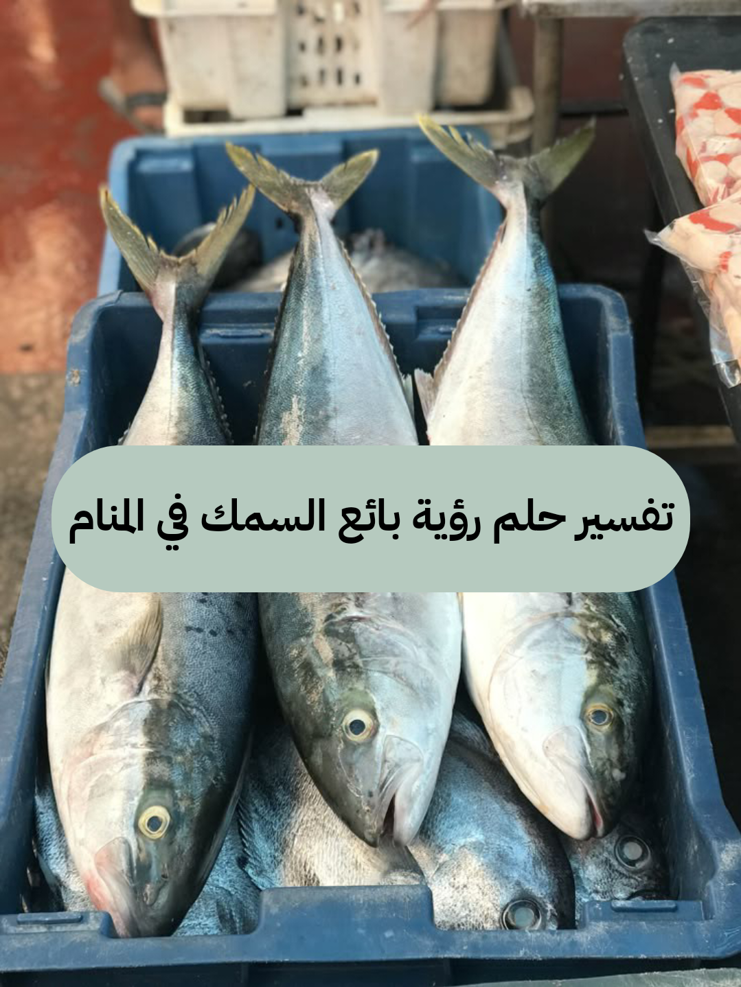 تم….. تفسير حلم رؤية بائع السمك في المنام