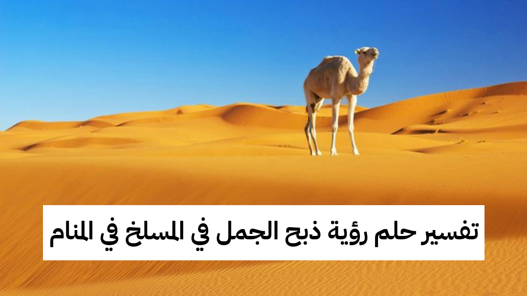 تفسير حلم رؤية ذبح الجمل في المسلخ في المنام