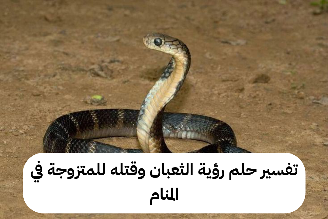 تفسير حلم رؤية الثعبان وقتله للمتزوجة في المنام