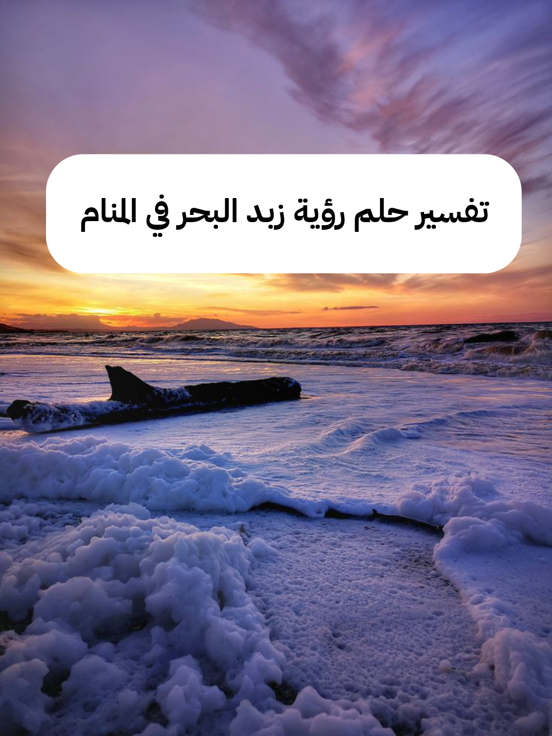 تفسير حلم رؤية زبد البحر في المنام