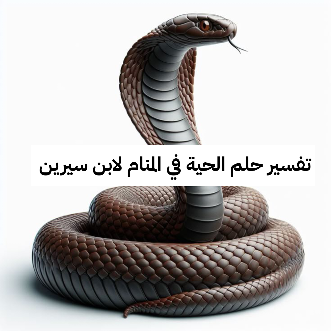 تفسير حلم الحية في المنام لابن سيرين للعزباء وَ للمتزوجة – رمز رؤية الأفعى في الحلم للإمام الصادق بالتفصيل
