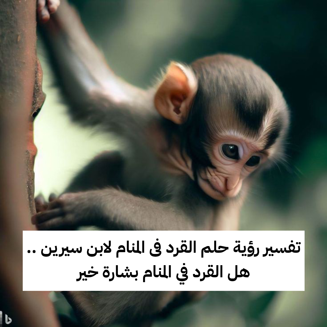 تفسير رؤية حلم القرد فى المنام لابن سيرين .. هل القرد في المنام بشارة خير