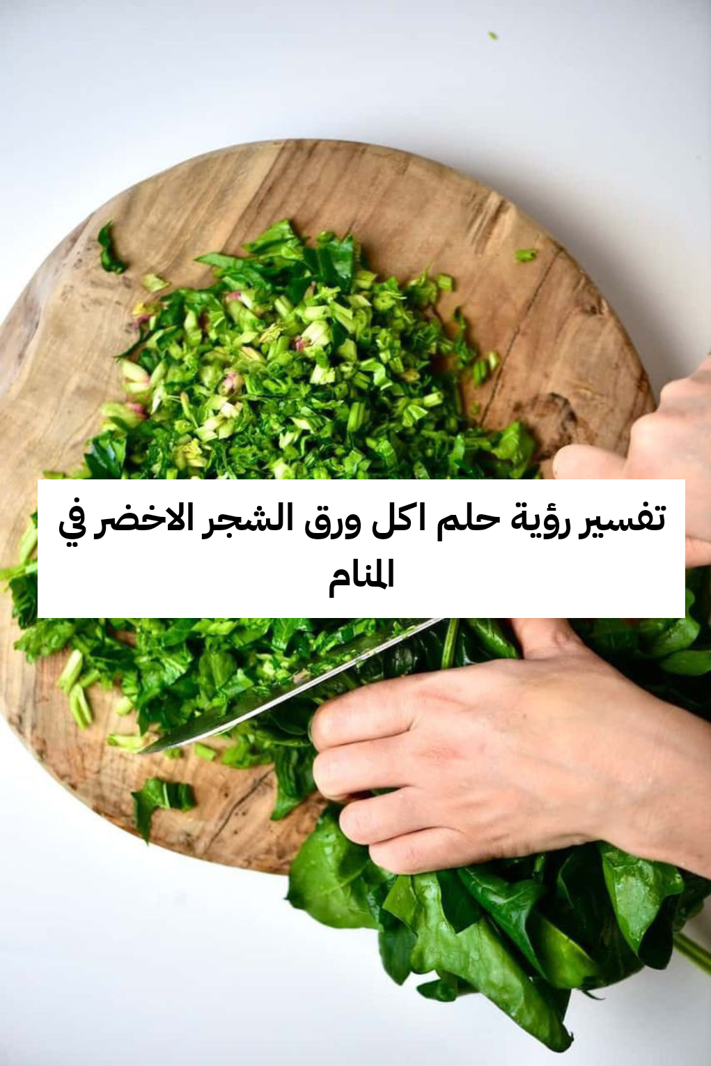 تفسير رؤية حلم اكل ورق الشجر الاخضر في المنام