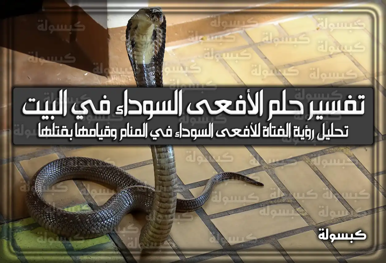 تفسير حلم رؤية الأفعى السوداء في البيت في المنام