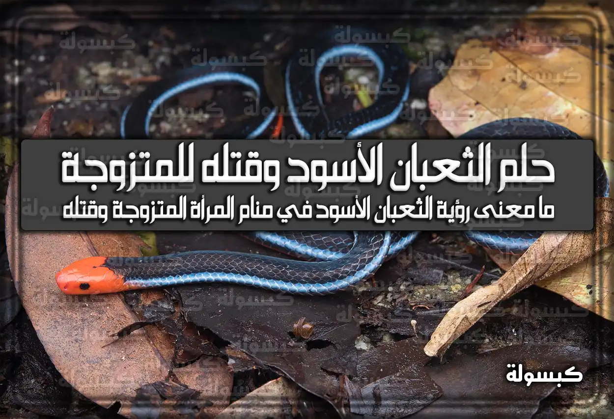 تفسير حلم رؤية الثعبان الأسود وقتله للمتزوجة في المنام