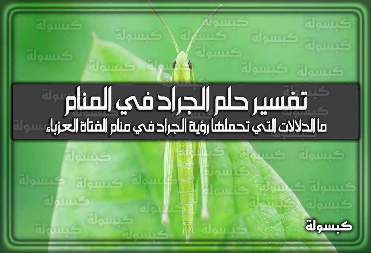 تفسير حلم رؤية الجراد في المنام للعزباء والمتزوجة
