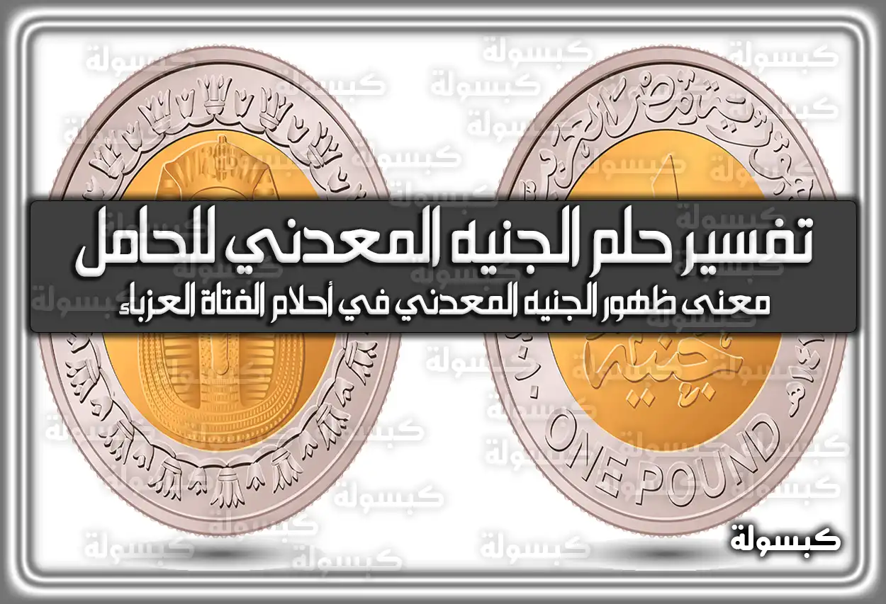 تفسير حلم رؤية الجنيه المعدني للحامل في المنام