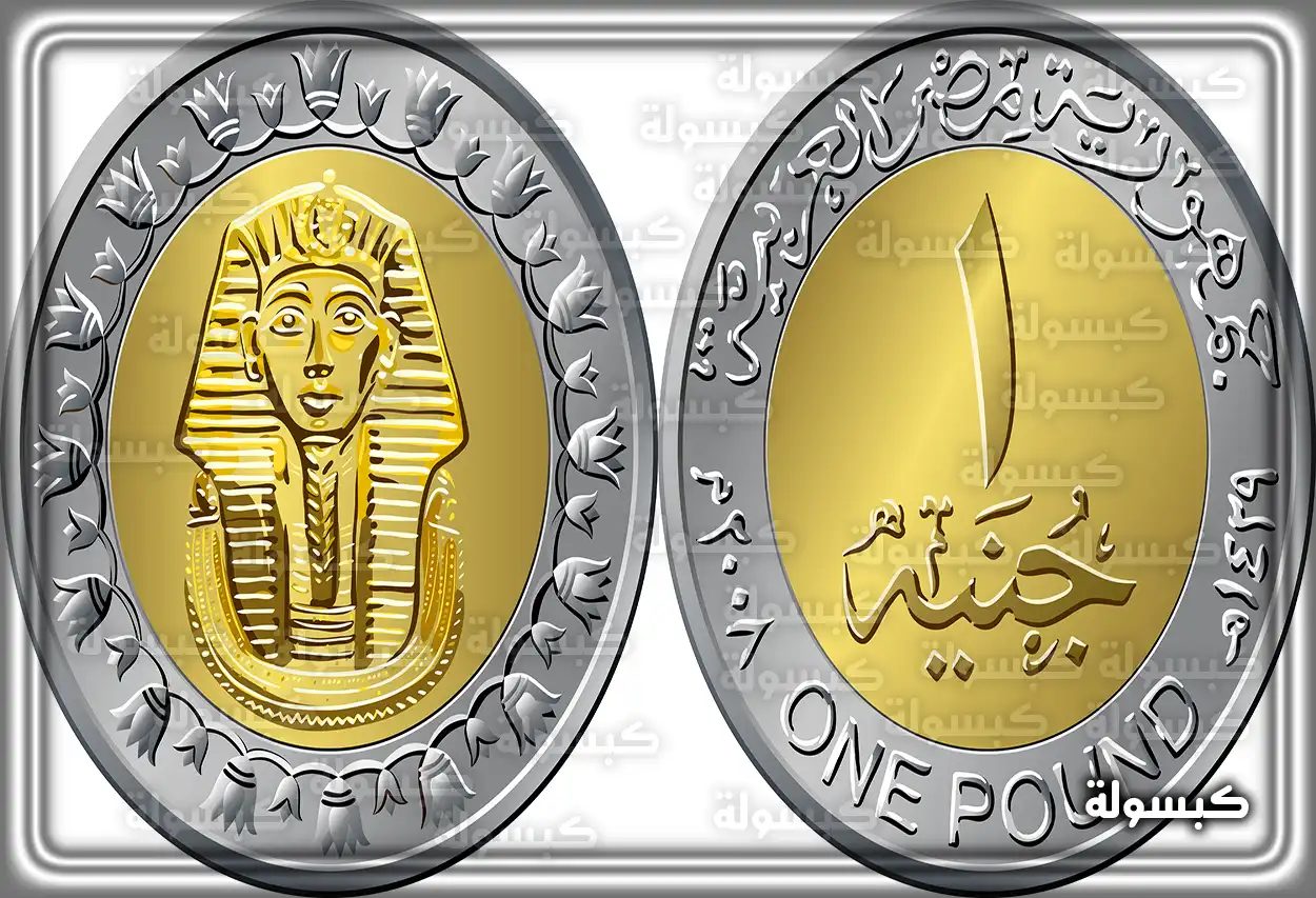 تفسير رؤية الجنيه المعدني في منام المرأة الحامل