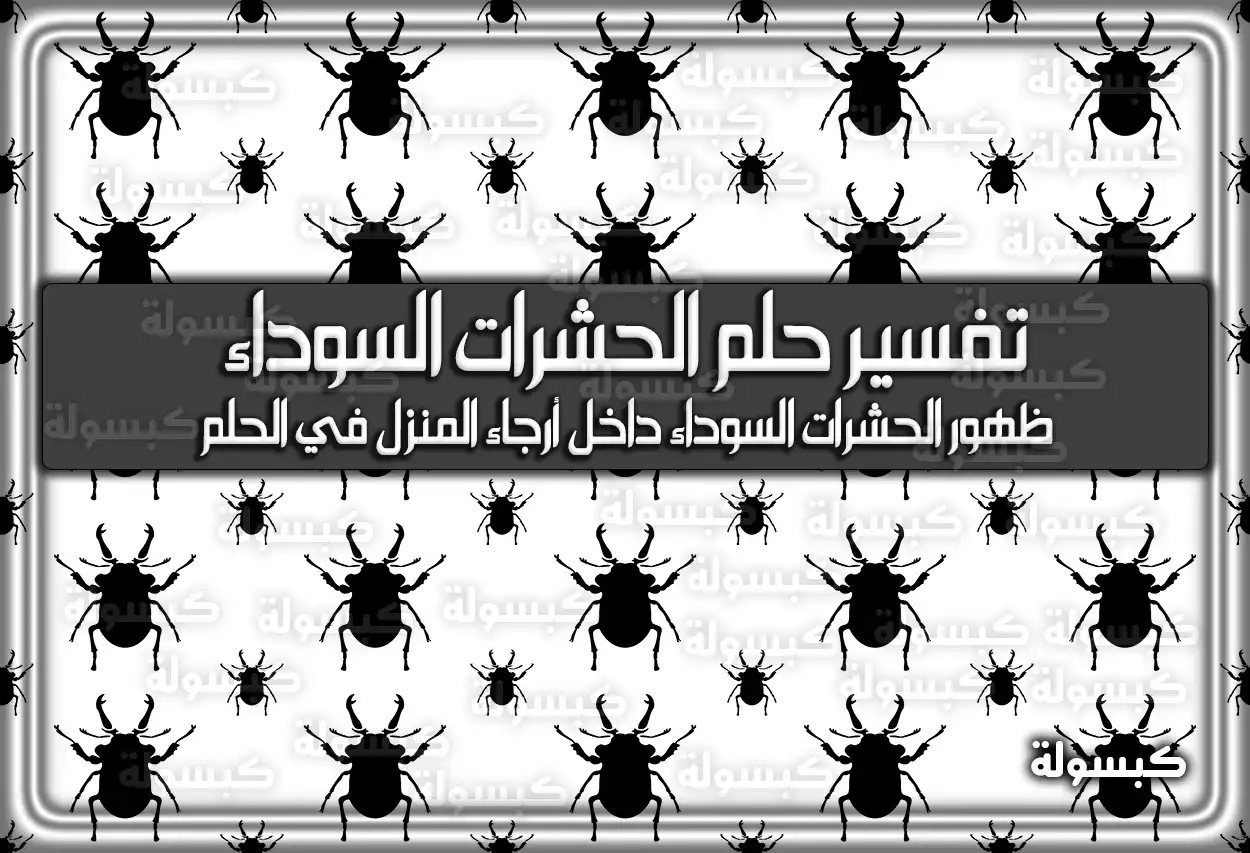 تفسير حلم رؤية الحشرات السوداء في المنام