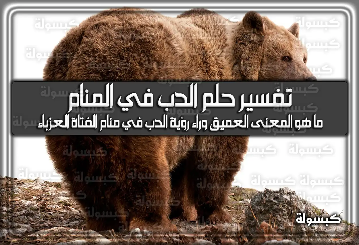 تفسير حلم رؤية الدب في المنام للعزباء والمتزوجة