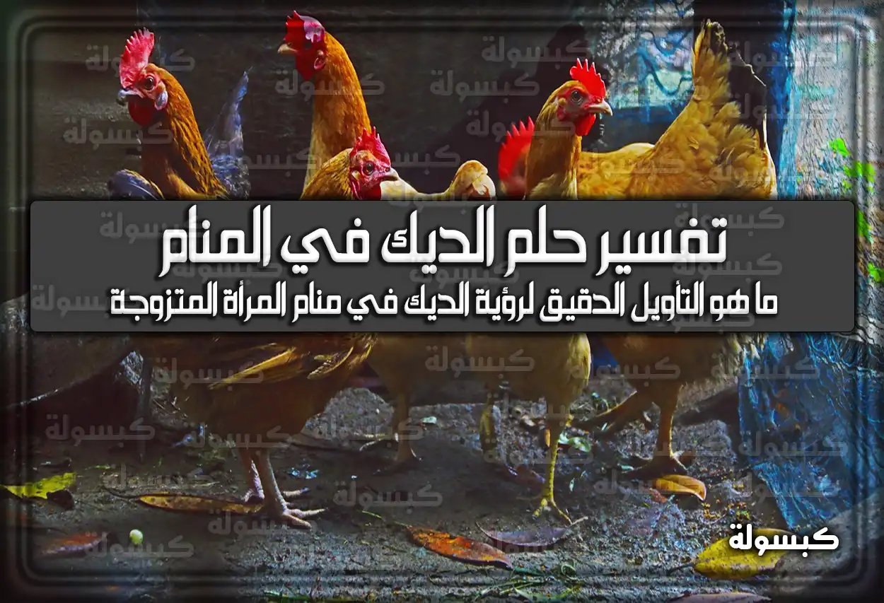 تفسير حلم رؤية الديك في المنام للعزباء والمتزوجة