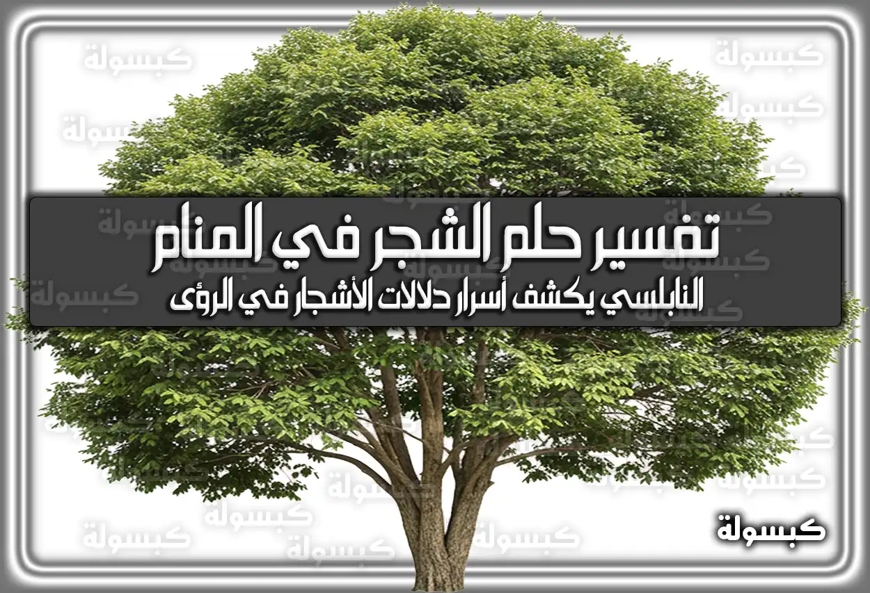 تفسير حلم رؤية الشجر في المنام لابن سيرين والامام الصادق