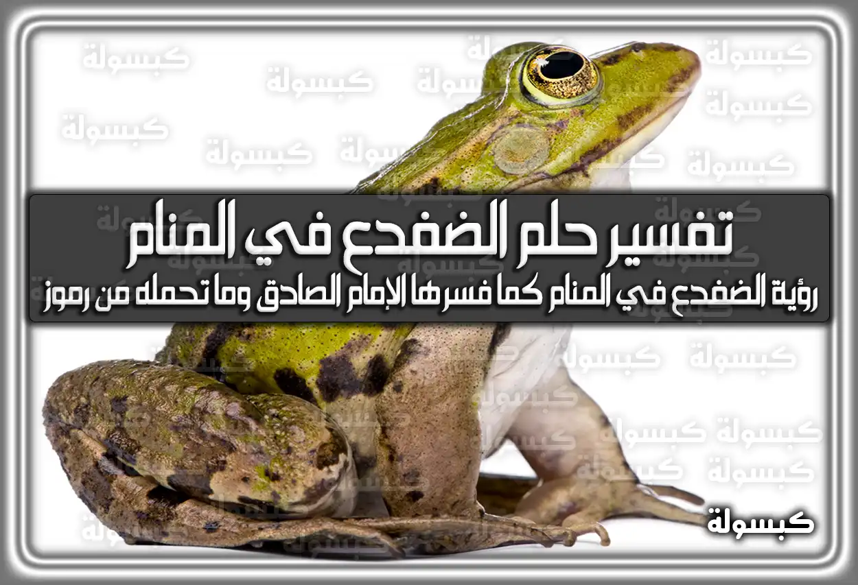 تفسير حلم رؤية الضفدع في المنام لابن سيرين والامام الصادق