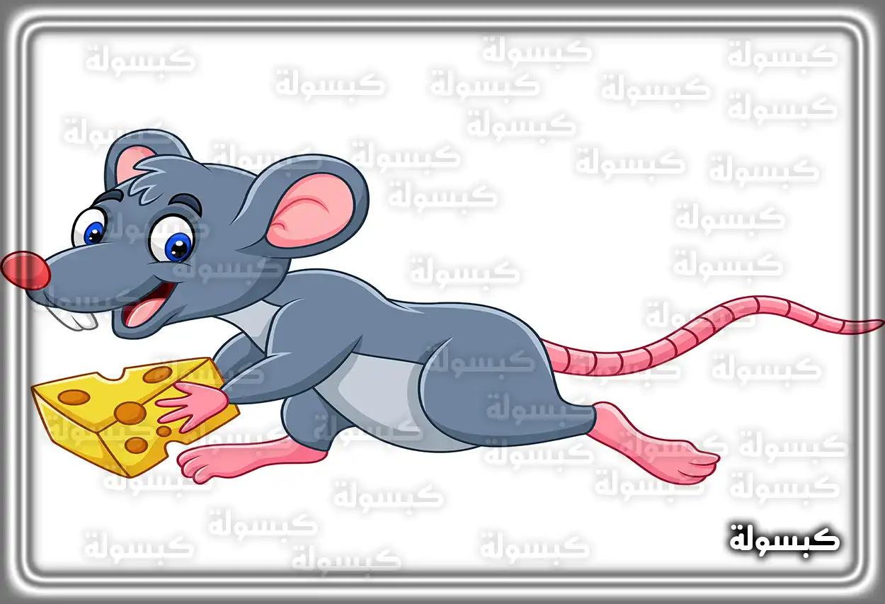 تفسير حلم الفأر داخل المنزل