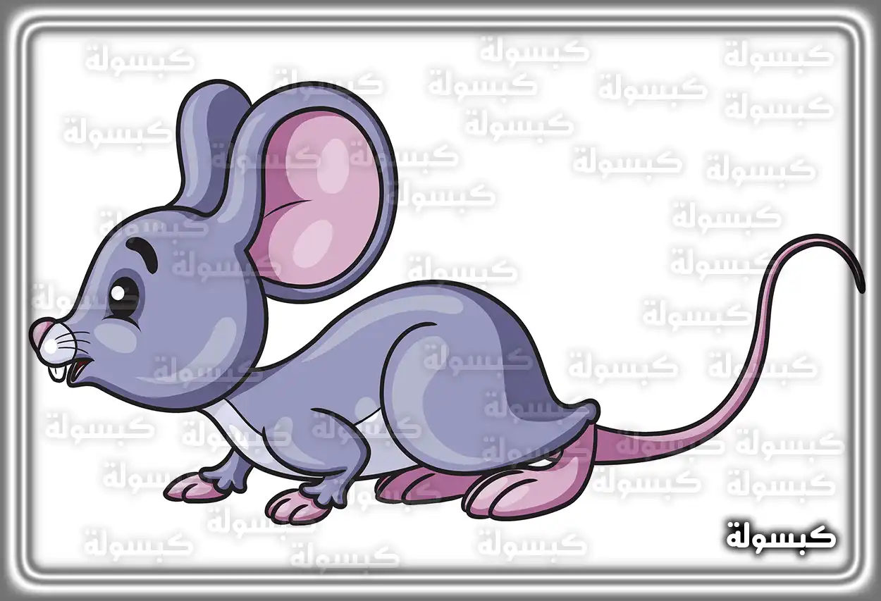 تفسير حلم الفأر الأبيض للعزباء