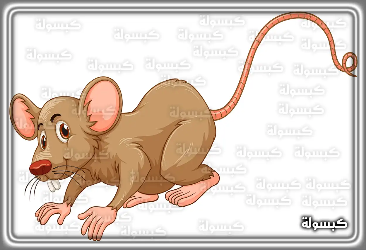 دلالات رؤية الفئران في الحلم
