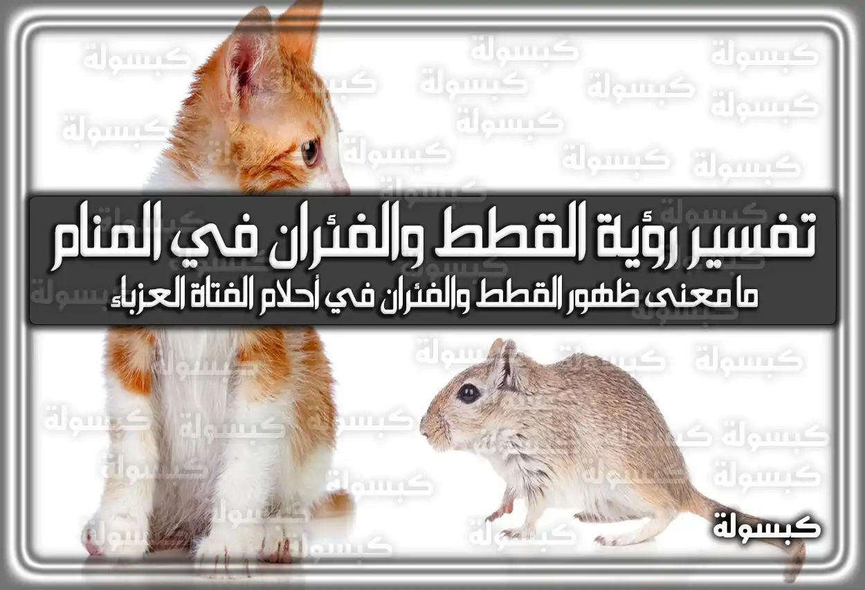 تفسير حلم رؤية القطط والفئران في المنام