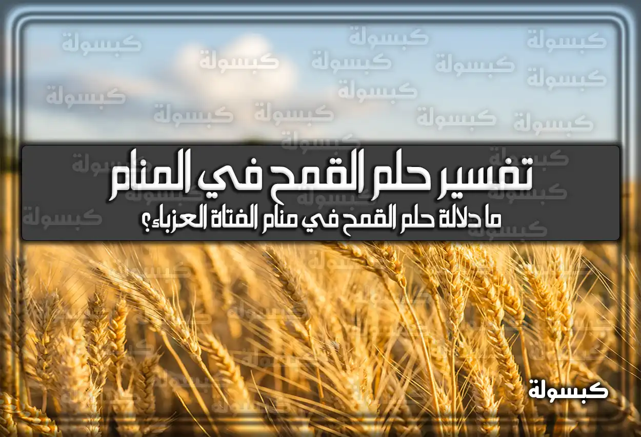 تفسير حلم رؤية القمح في المنام للعزباء والمتزوجة