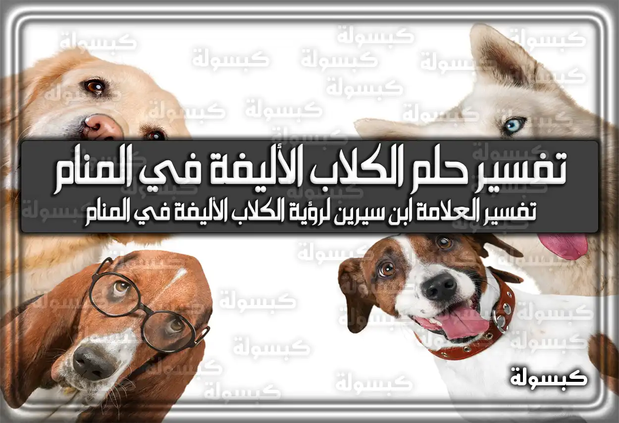 تفسير حلم رؤية الكلاب الأليفة في المنام لابن سيرين بالتفصيل