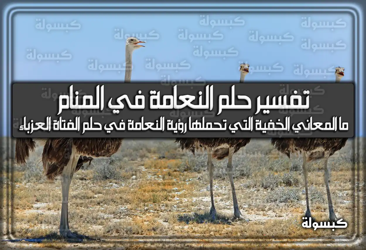 تفسير حلم رؤية النعامة في المنام للمراه والرجل