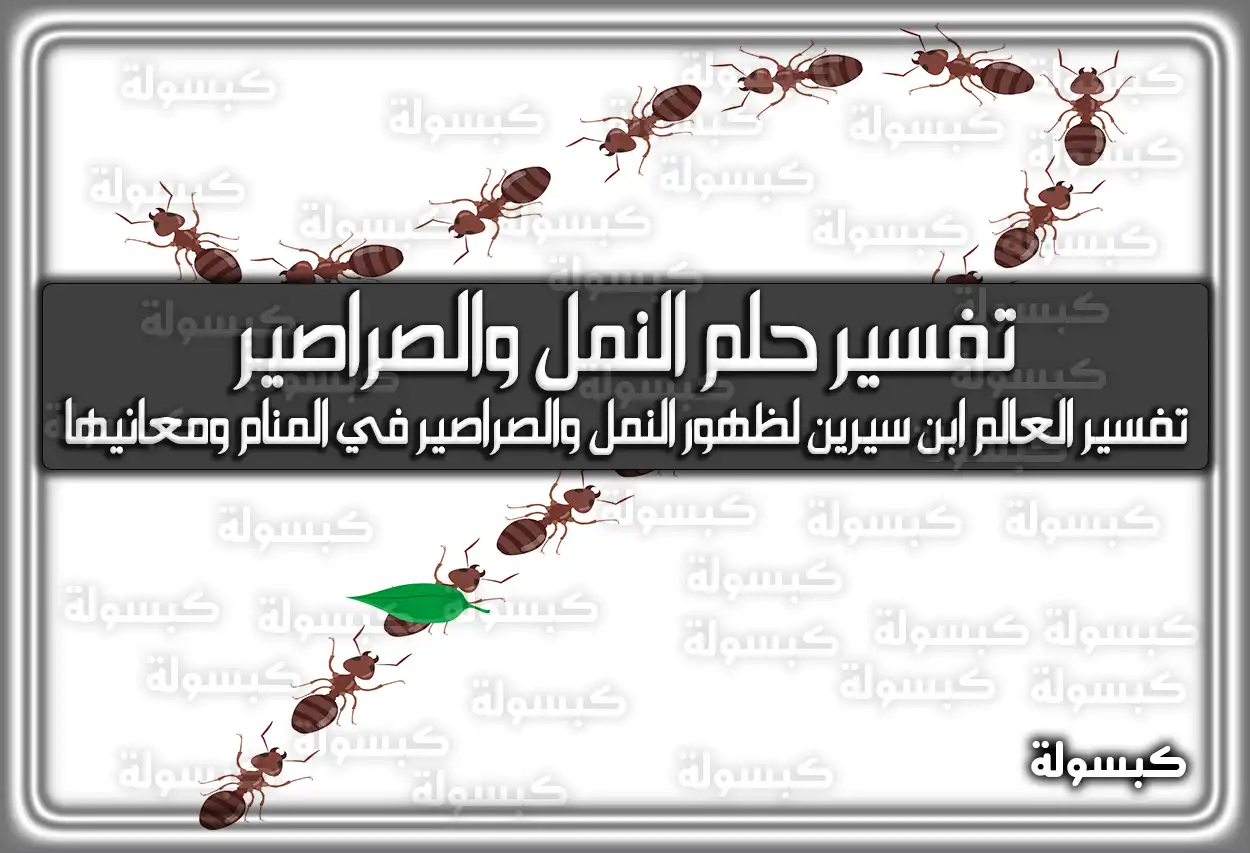 تفسير حلم رؤية النمل والصراصير في المنام